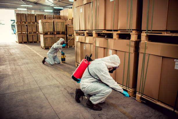 Best Pest Removal Services  in Marlborough, MO