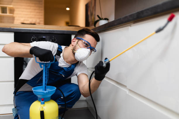 Flea Control Services in Marlborough, MO