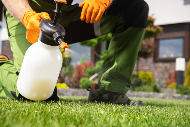 Best Best Pest Control Companies  in Marlborough, MO
