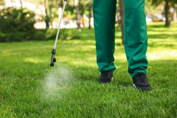 Best Pest Inspection Near Me  in Marlborough, MO