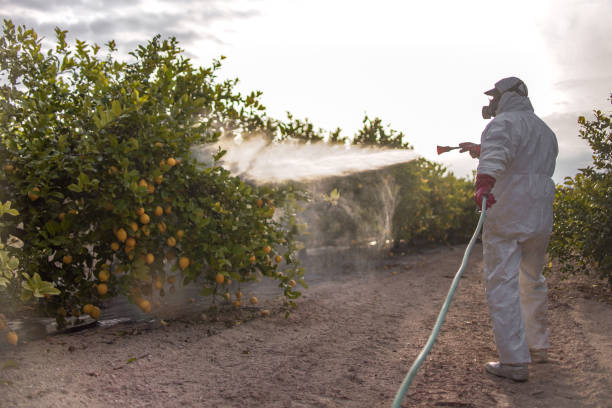 Best Cockroach Control Services  in Marlborough, MO