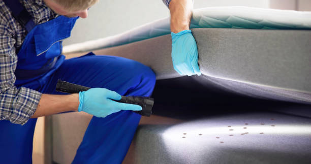 Best Pest Prevention Services  in Marlborough, MO