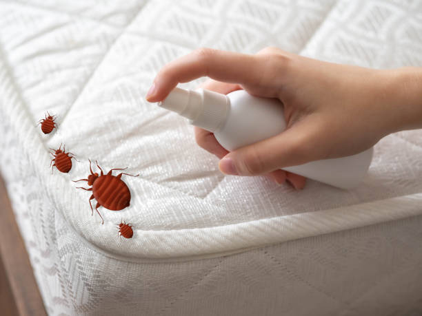 Best Residential Pest Control  in Marlborough, MO