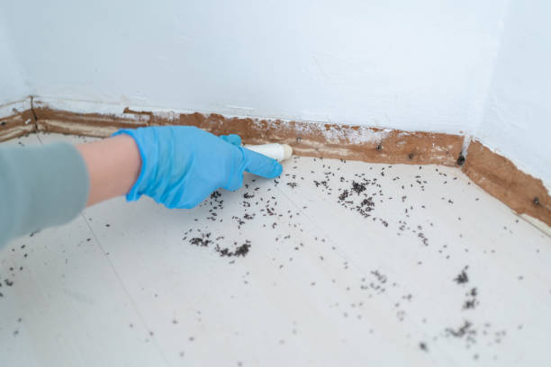 Best Emergency Pest Control  in Marlborough, MO