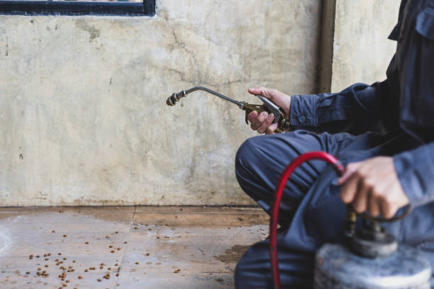 Best Pest Control Near Me in Marlborough, MO