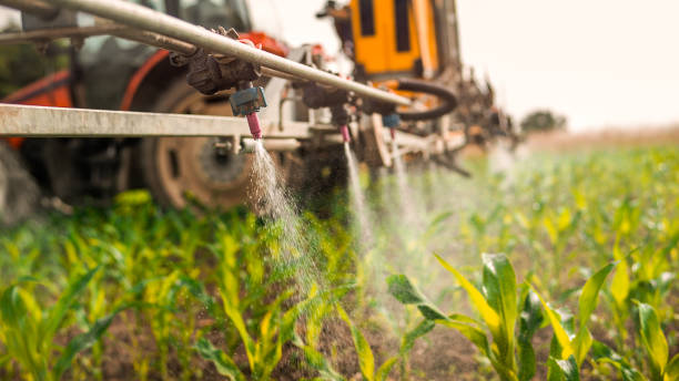 Best Best Pest Control Companies  in Marlborough, MO
